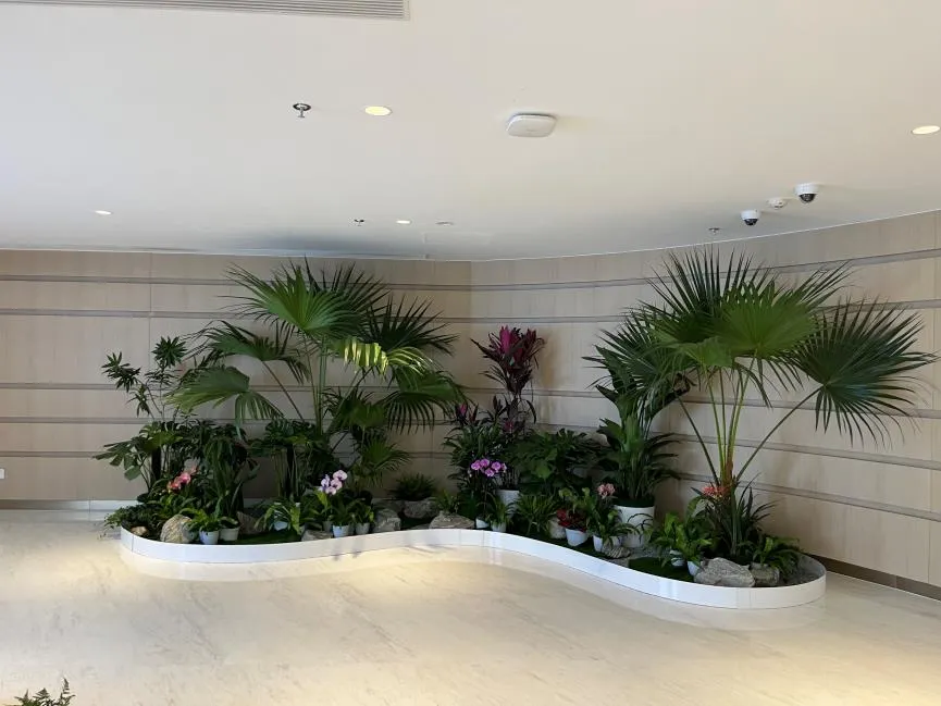 慈溪花卉出租公司